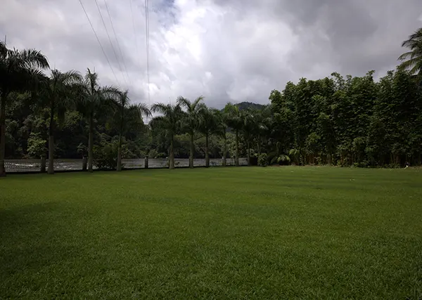 luxury honeymoon packages in athirappilly